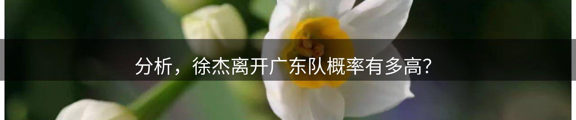 内页banner