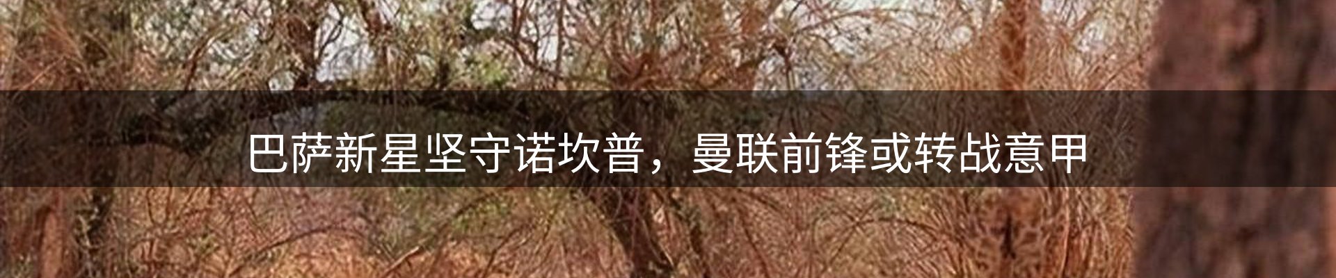 内页banner
